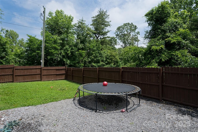14 Alice Clement Ln, Asheville, NC 28803 - photo 41