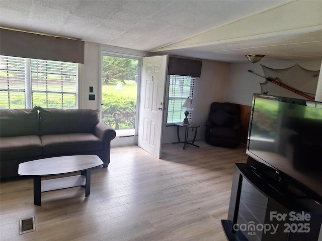 5022 Wrenn Dr, Denver, NC 28037 - living room featuring light wood finished floors and vaulted ceiling