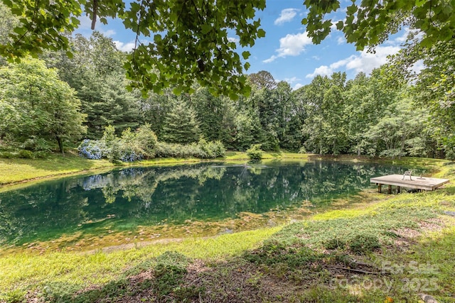 3060 Texs Fish Camp Rd, Connelly Springs, NC 28612 - water view with a forest