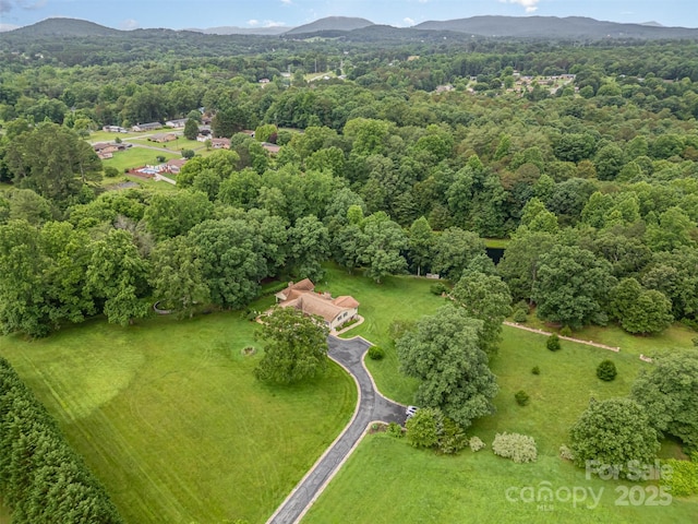 3060 Texs Fish Camp Rd, Connelly Springs, NC 28612 - aerial view of property's location with a mountainous background