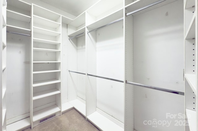 8044 Hawk Crest Ct, Charlotte, NC 28270 - walk in closet with carpet flooring
