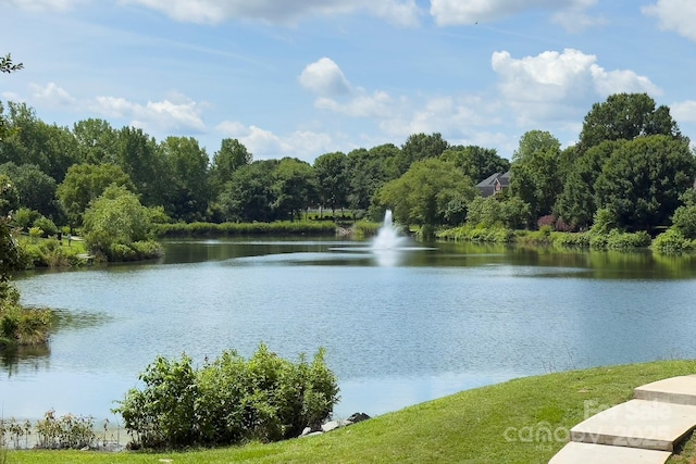 8044 Hawk Crest Ct, Charlotte, NC 28270 - water view