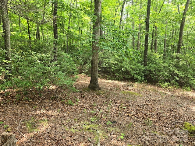 LOT159 Sullivan Ln, Lake Lure, NC 28746