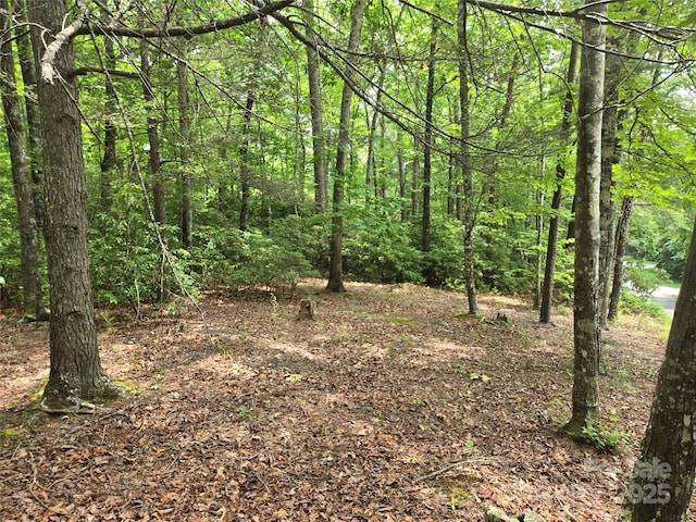 LOT159 Sullivan Ln, Lake Lure, NC 28746