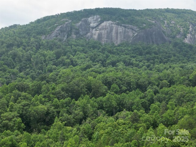 LOT159 Sullivan Ln, Lake Lure, NC 28746