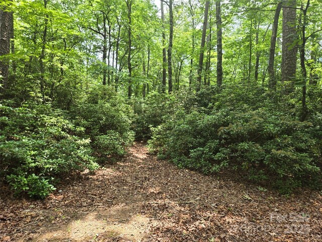LOT159 Sullivan Ln, Lake Lure, NC 28746