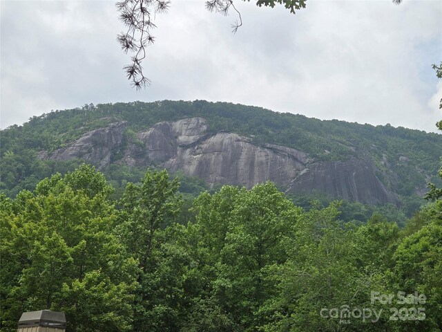 LOT159 Sullivan Ln, Lake Lure, NC 28746