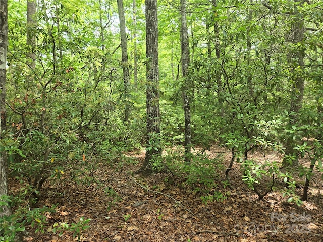 LOT159 Sullivan Ln, Lake Lure, NC 28746