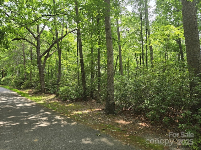 LOT159 Sullivan Ln, Lake Lure, NC 28746