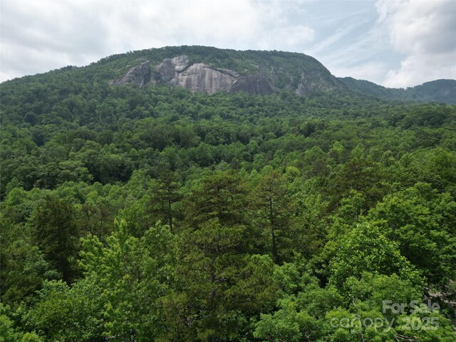 LOT159 Sullivan Ln, Lake Lure, NC 28746