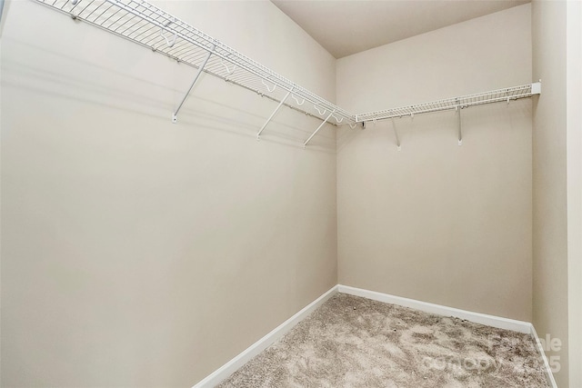 10004 Perth Moor Rd, Charlotte, NC 28278 - spacious closet with carpet