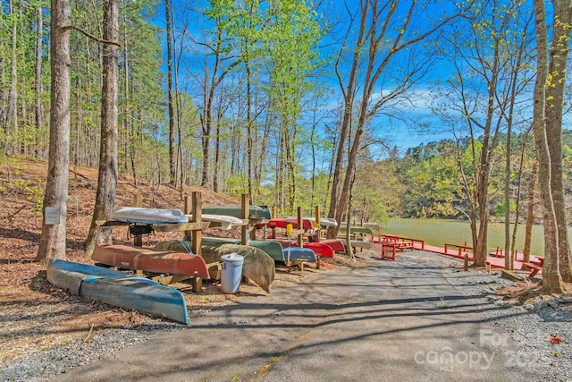 447 Hidden Lake Pkwy, Nebo, NC 28761 - view of community featuring a view of trees