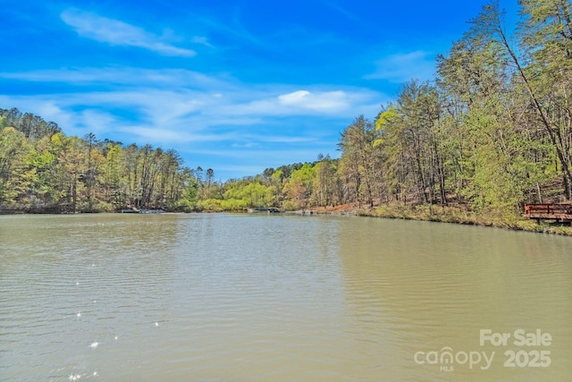 447 Hidden Lake Pkwy, Nebo, NC 28761 - water view featuring a forest