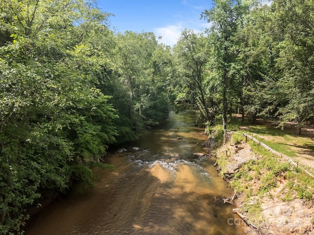 140 Cove Crest Dr, Rutherfordton, NC 28139 - view of nature