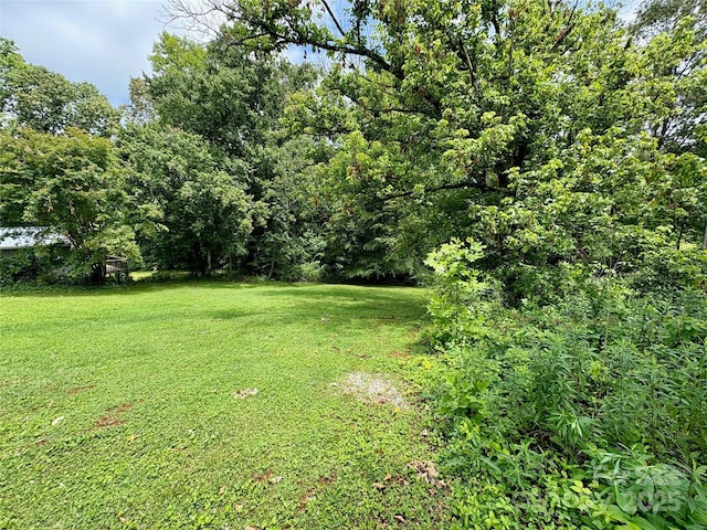 78 Moffitt Hill Church Rd, Old Fort, NC 28762 - view of green lawn
