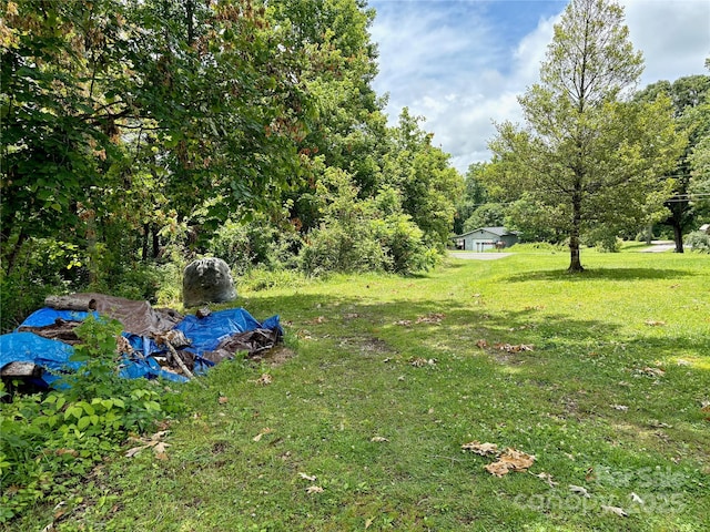 78 Moffitt Hill Church Rd, Old Fort, NC 28762 - view of grassy yard