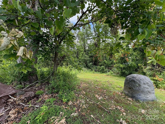 78 Moffitt Hill Church Rd, Old Fort, NC 28762 - view of yard