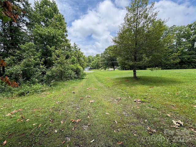 78 Moffitt Hill Church Rd, Old Fort, NC 28762 - view of green lawn
