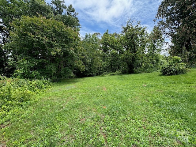78 Moffitt Hill Church Rd, Old Fort, NC 28762 - view of green lawn with a view of trees