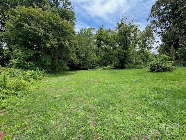 78 Moffitt Hill Church Rd, Old Fort, NC 28762 - view of green lawn with a view of trees