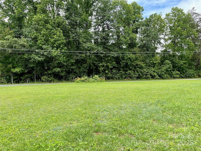 78 Moffitt Hill Church Rd, Old Fort, NC 28762 - view of grassy yard
