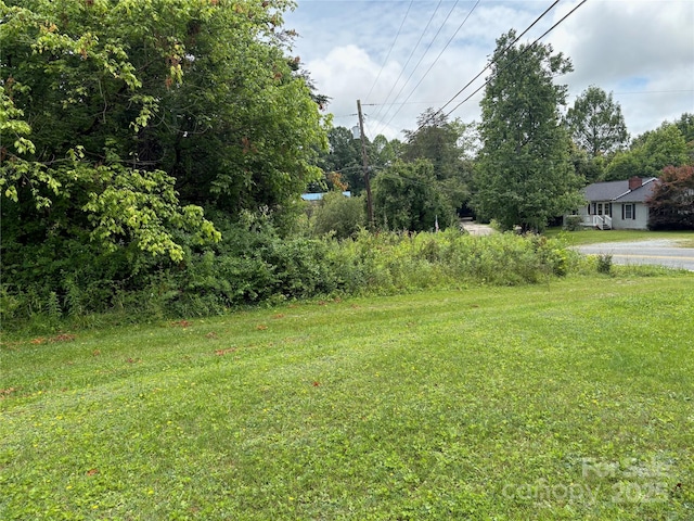 78 Moffitt Hill Church Rd, Old Fort, NC 28762 - view of green lawn