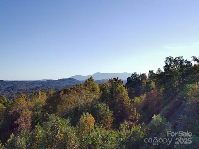 LOT9 High Rock Rdg, Lake Lure, NC 28746