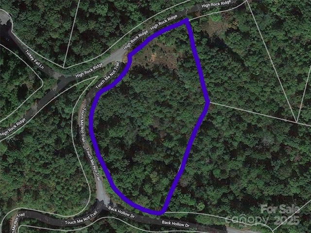 LOT9 High Rock Rdg, Lake Lure, NC 28746