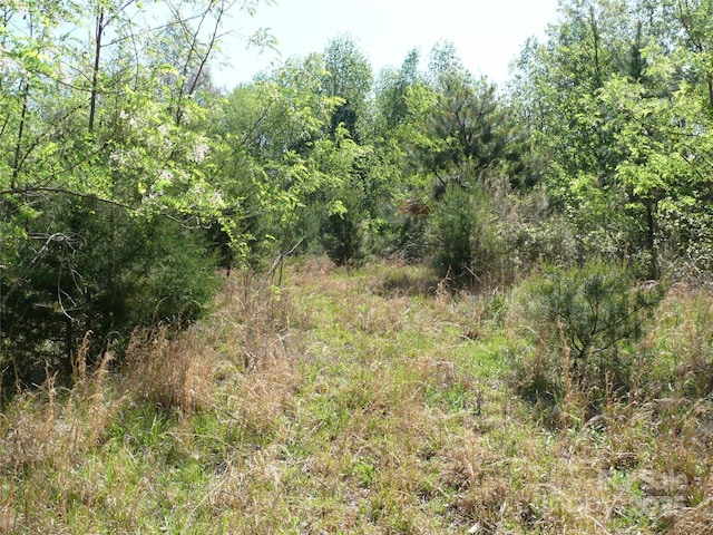 LOT9 High Rock Rdg, Lake Lure, NC 28746
