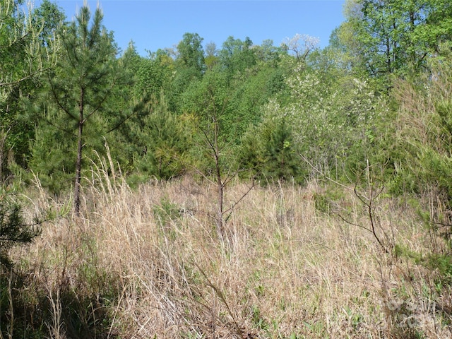 LOT9 High Rock Rdg, Lake Lure, NC 28746