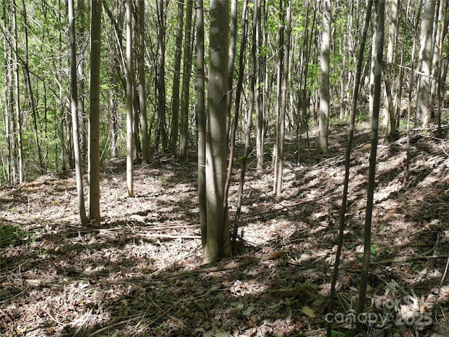 LOT9 High Rock Rdg, Lake Lure, NC 28746