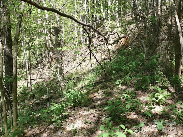 LOT9 High Rock Rdg, Lake Lure, NC 28746