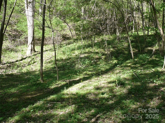 LOT9 High Rock Rdg, Lake Lure, NC 28746