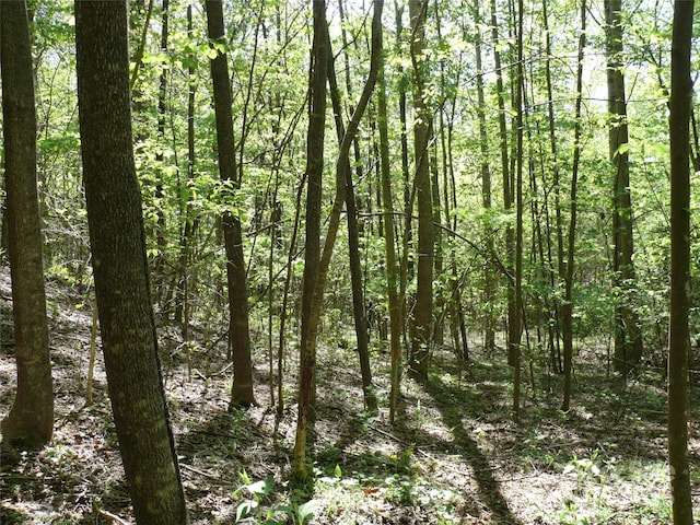 LOT9 High Rock Rdg, Lake Lure, NC 28746
