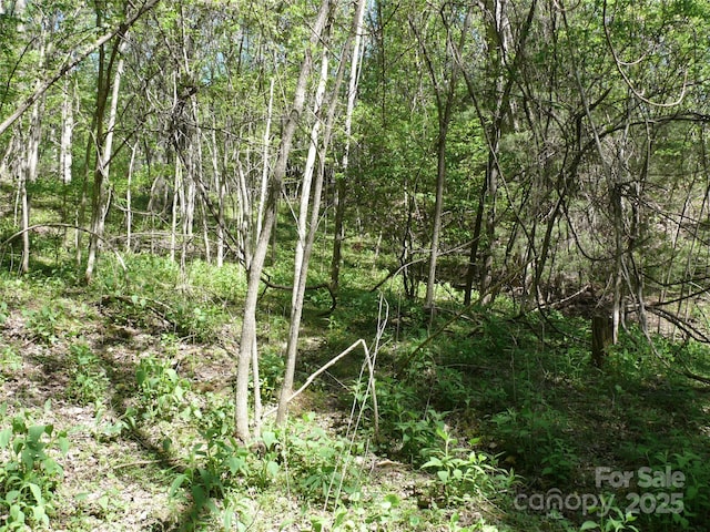 LOT9 High Rock Rdg, Lake Lure, NC 28746