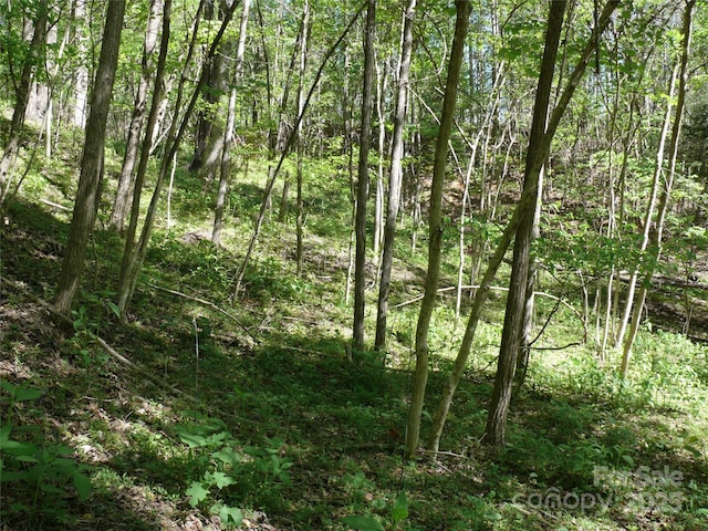 LOT9 High Rock Rdg, Lake Lure, NC 28746
