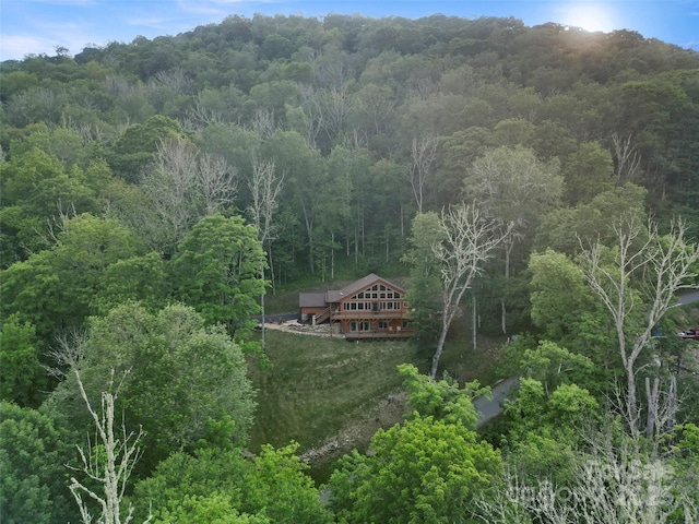 85 Iga Trl, Maggie Valley, NC 28751 - photo 1
