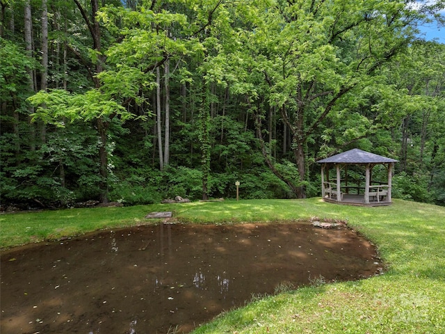85 Iga Trl, Maggie Valley, NC 28751 - photo 41