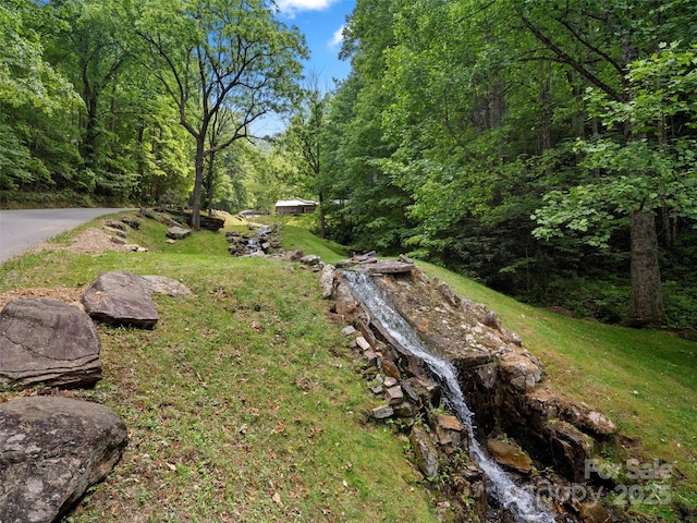 85 Iga Trl, Maggie Valley, NC 28751 - photo 42