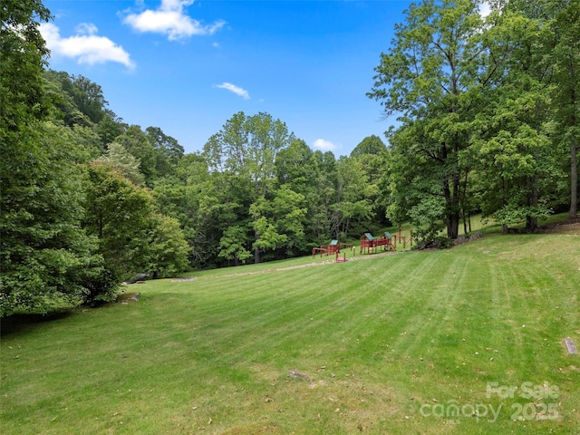85 Iga Trl, Maggie Valley, NC 28751 - photo 43