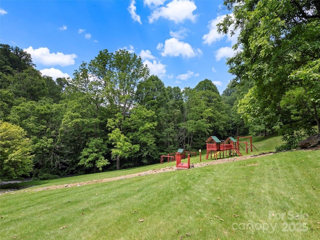 85 Iga Trl, Maggie Valley, NC 28751 - photo 44