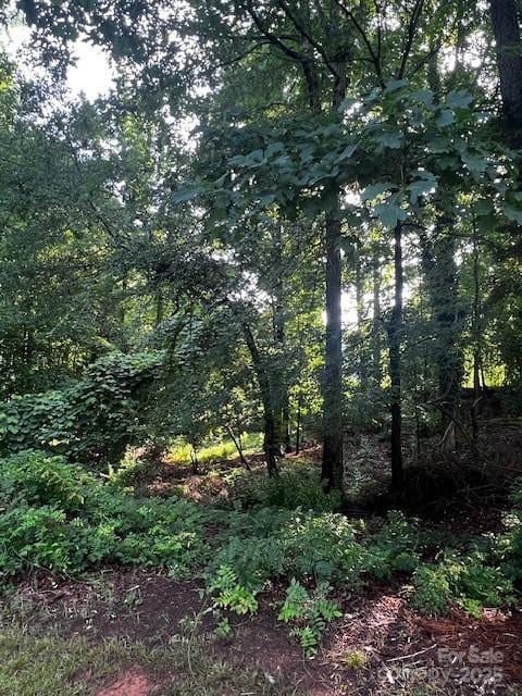 8112 Bayview Ln Unit 32, Belmont, NC 28012