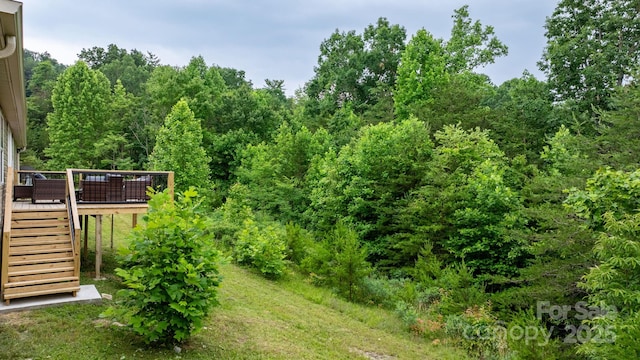 8692 Lambs Way, Connelly Springs, NC 28612 - view of yard with stairway and a deck