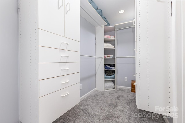147 Buck And Doe Ln, Statesville, NC 28625 - spacious closet with carpet floors