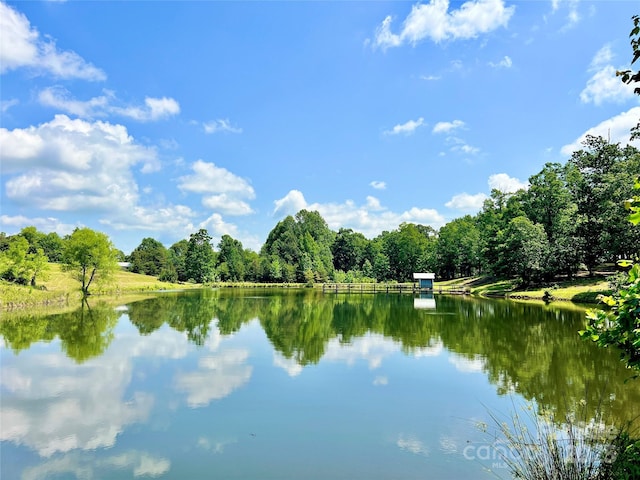 333 Lambs Grill Rd, Rutherfordton, NC 28139 - water view featuring a heavily wooded area