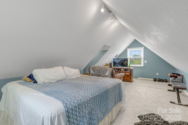 333 Lambs Grill Rd, Rutherfordton, NC 28139 - bedroom with rail lighting, a textured ceiling, light carpet, and lofted ceiling