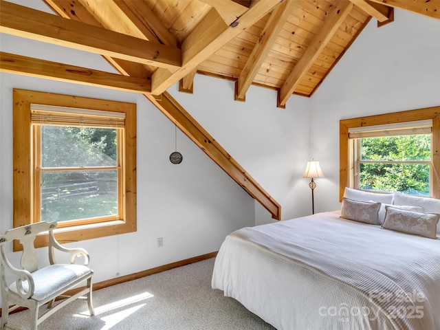 32 Tibi Ln, Waynesville, NC 28785 - carpeted bedroom with multiple windows, baseboards, and wood ceiling
