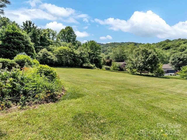 32 Tibi Ln, Waynesville, NC 28785 - view of grassy yard