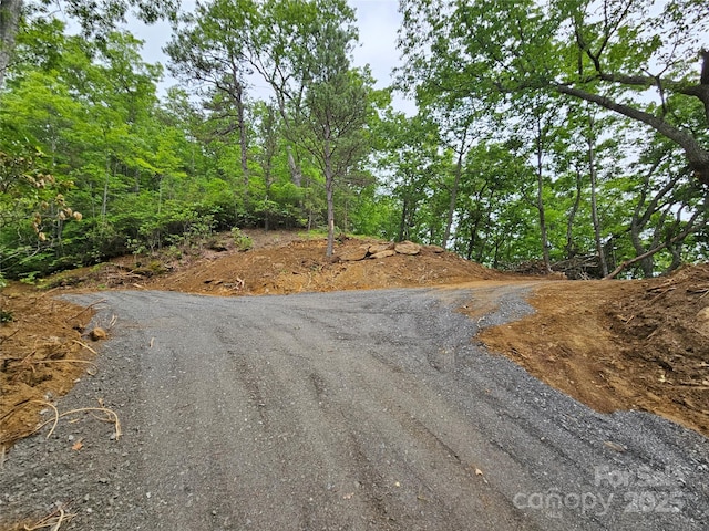 00 Laurel Ridge Rd, Maggie Valley, NC 28751