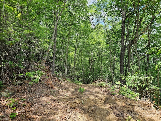 00 Laurel Ridge Rd, Maggie Valley, NC 28751